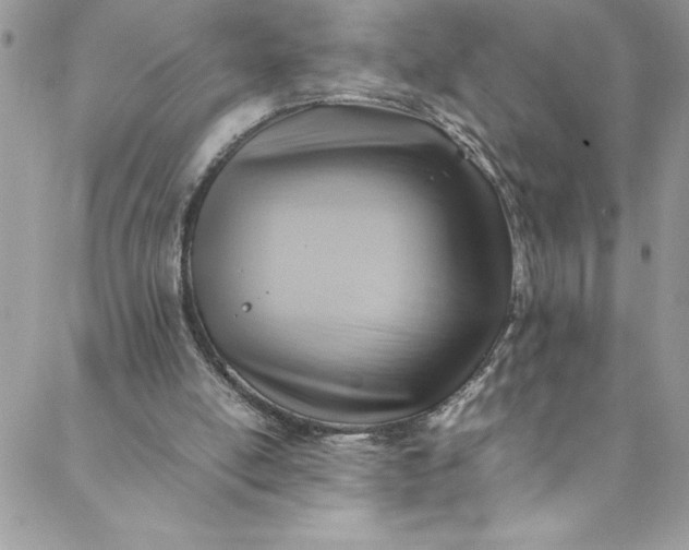 X0000088600054200706081403