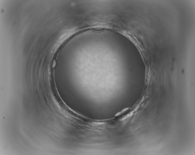 X0000088600055200706081403