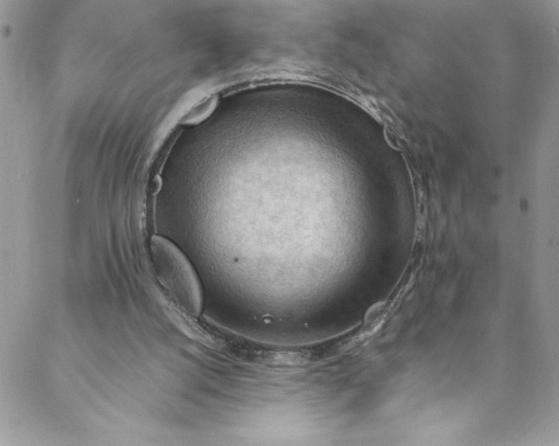 X0000088600056200706081403