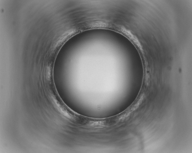 X0000088600057200706081403