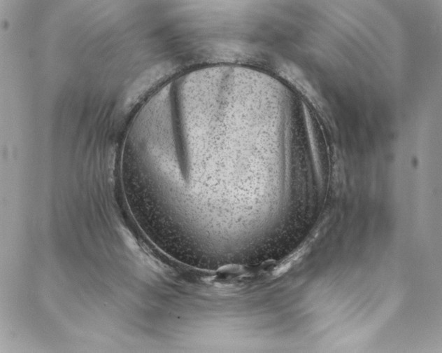 X0000088600058200706081403