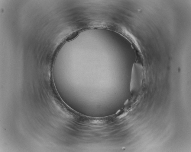 X0000088600059200706081403