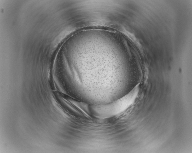 X0000088600060200706081403