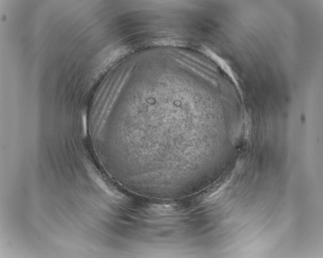 X0000088600061200706081403