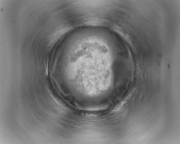 X0000088600062200706081403