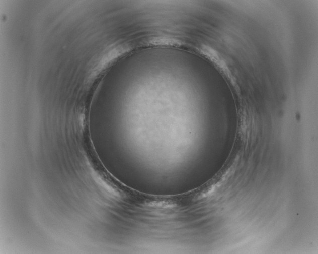 X0000088600063200706081403