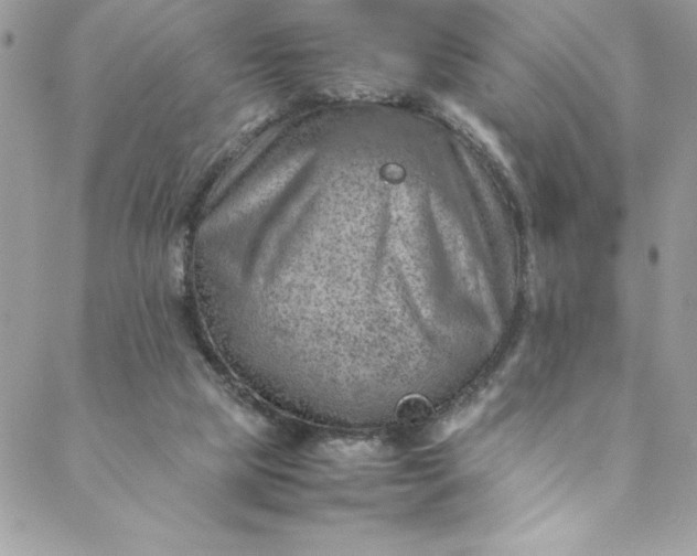 X0000088600065200706081403