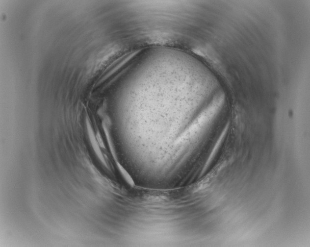 X0000088600066200706081403