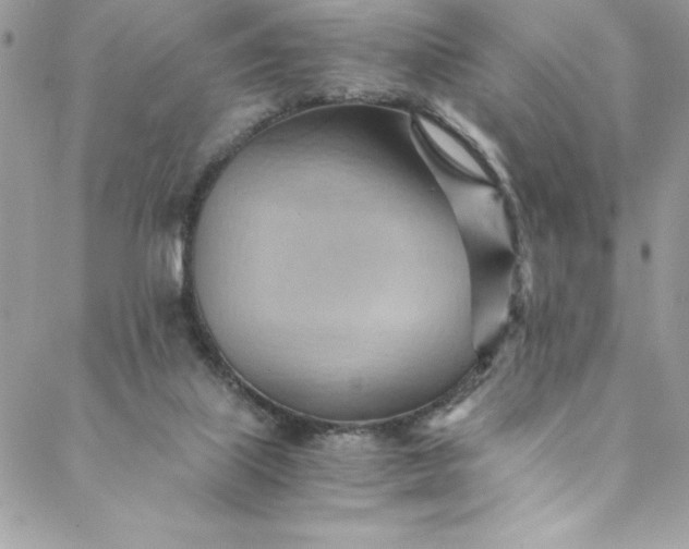 X0000088600067200706081403