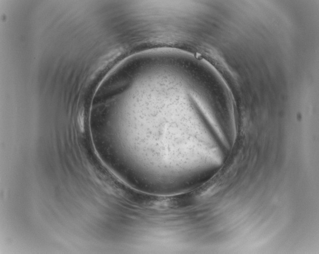 X0000088600068200706081403