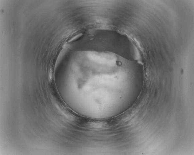 X0000088600069200706081403