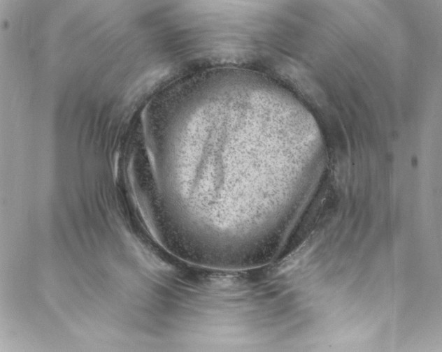 X0000088600070200706081403