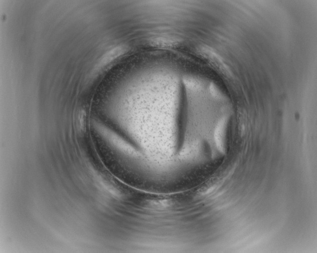 X0000088600071200706081403