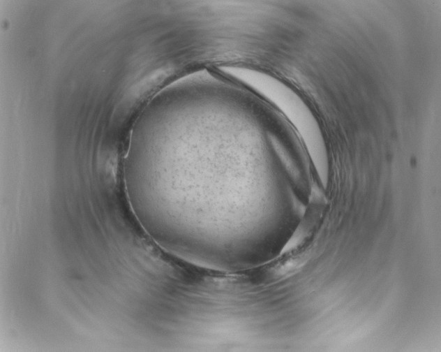 X0000088600072200706081403