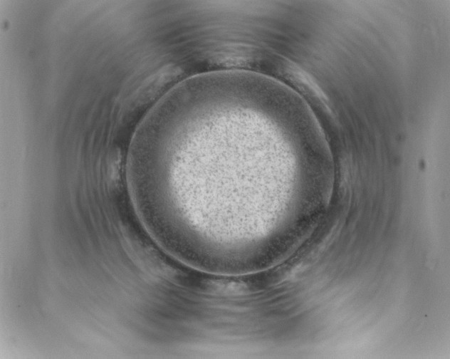 X0000088600073200706081403