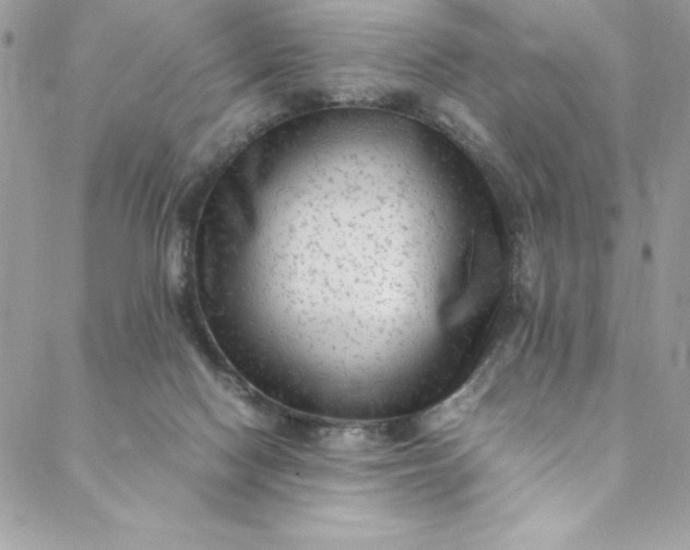 X0000088600074200706081403