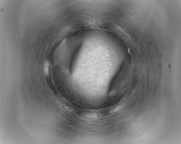 X0000088600075200706081403