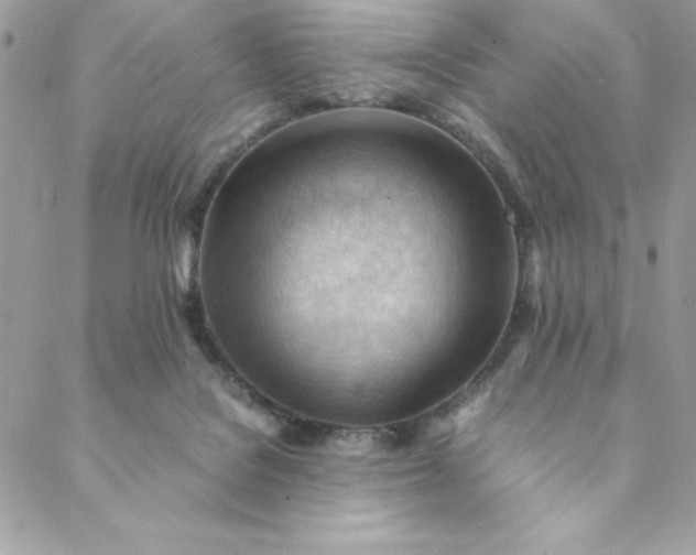 X0000088600076200706081403