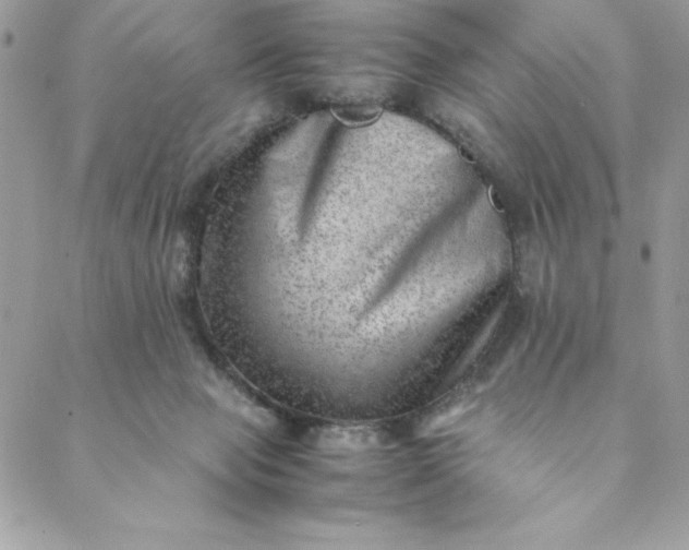 X0000088600077200706081403