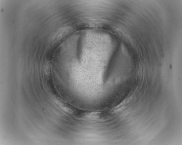 X0000088600078200706081403