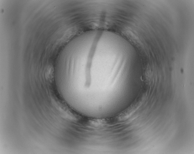 X0000088600079200706081403