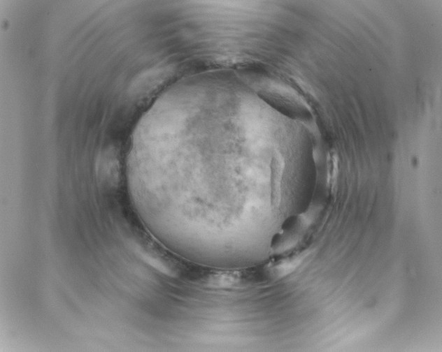 X0000088600080200706081403