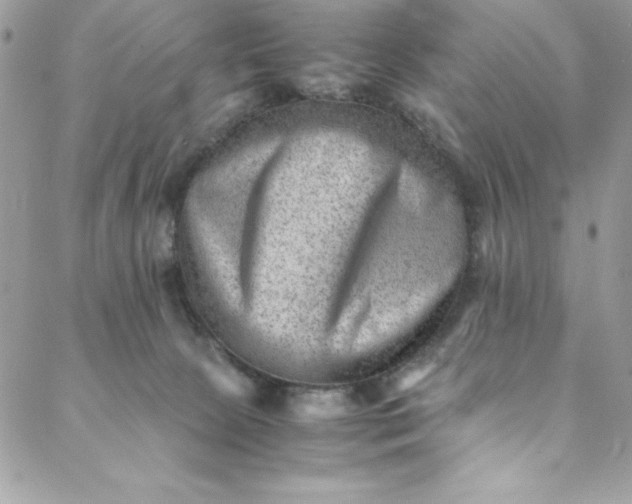 X0000088600081200706081403