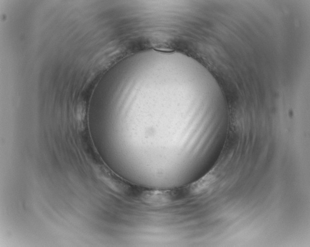 X0000088600082200706081403