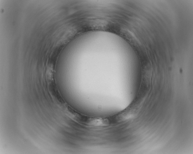 X0000088600083200706081403