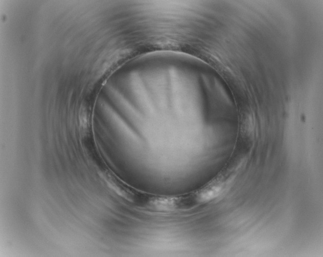 X0000088600084200706081403