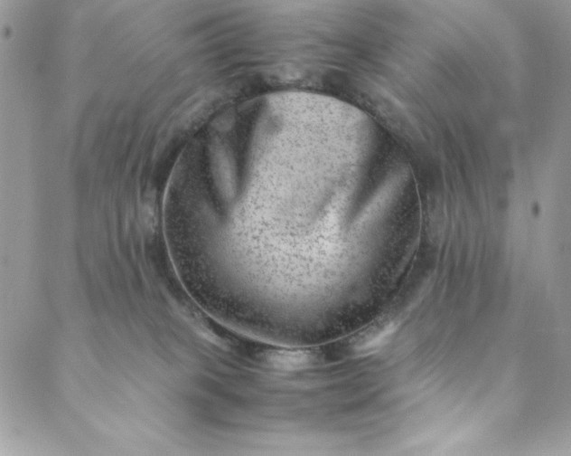 X0000088600085200706081403