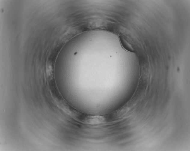 X0000088600087200706081403