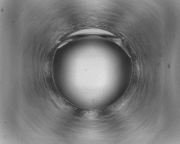 X0000088600088200706081403