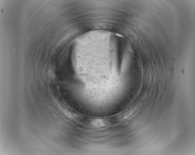 X0000088600091200706081403