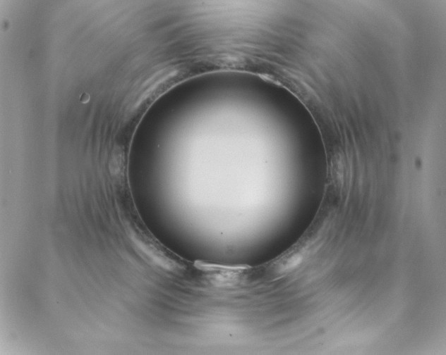 X0000088600092200706081403