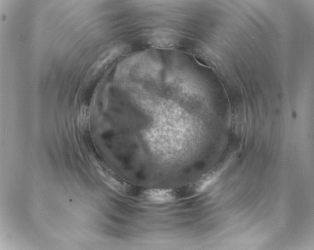 X0000088600093200706081403