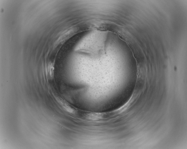 X0000088600094200706081403