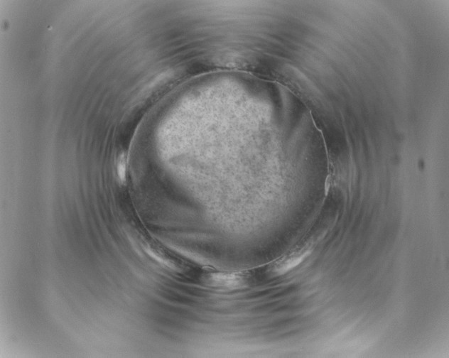 X0000088600095200706081403