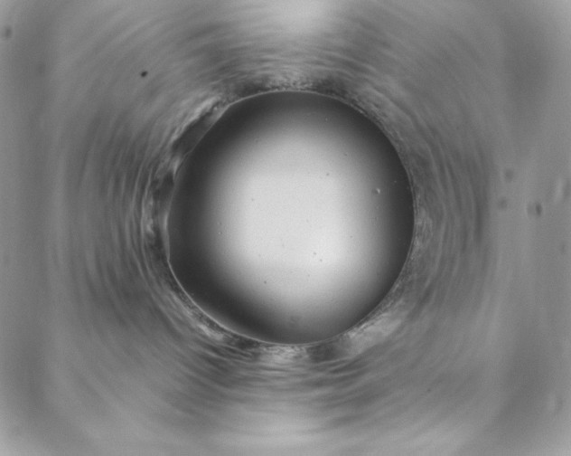 X0000088600096200706081403