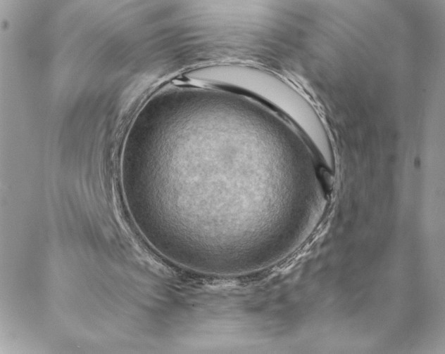 X0000088600097200706081403