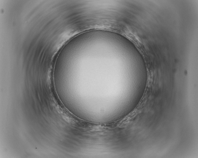 X0000088600098200706081403