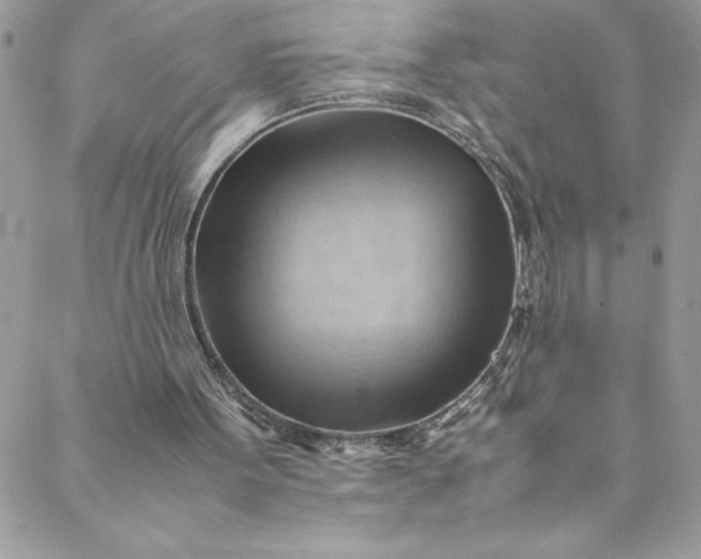 X0000088600099200706081403