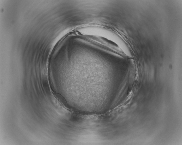 X0000088600100200706081403