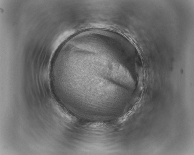 X0000088600104200706081403