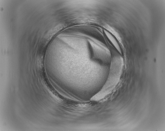 X0000088600105200706081403