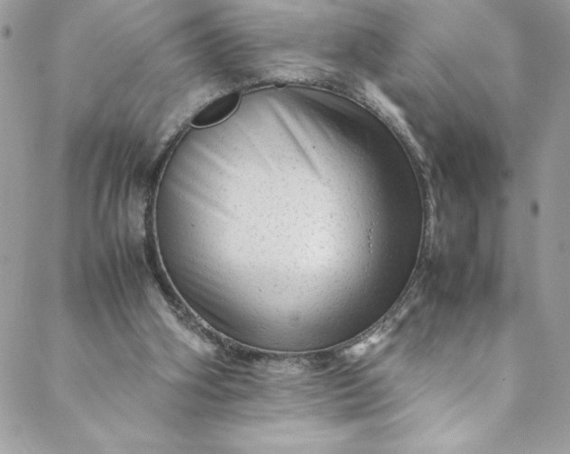 X0000088600106200706081403