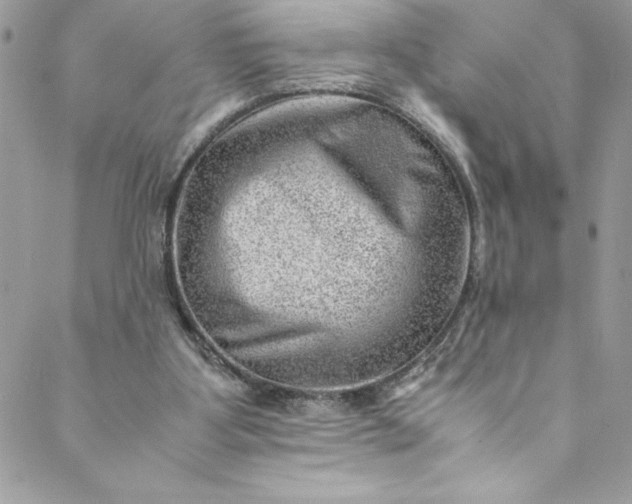 X0000088600107200706081403