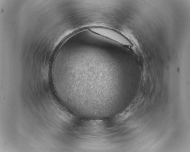 X0000088600108200706081403