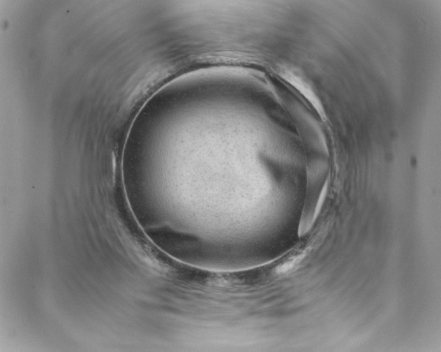 X0000088600109200706081403