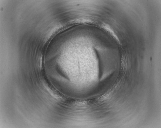 X0000088600110200706081403